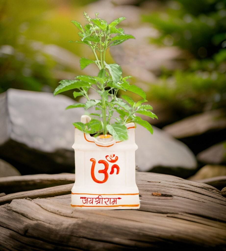 Tulsi Pot