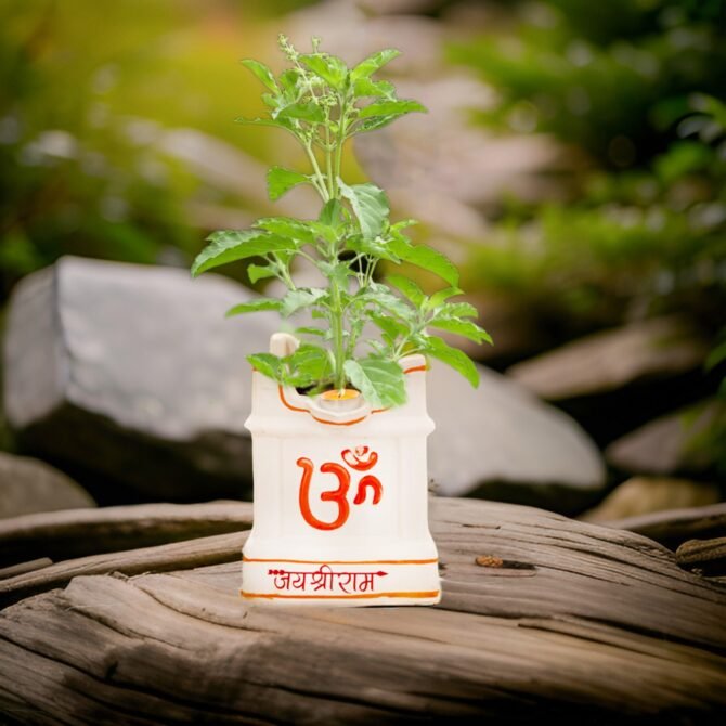 Tulsi Pot