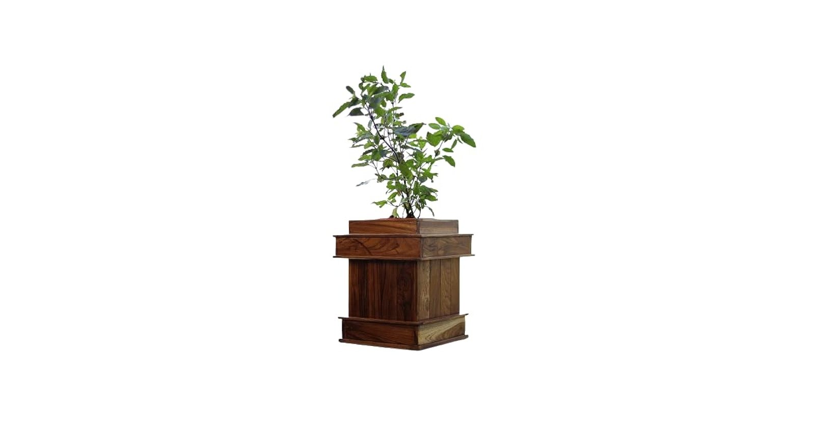 Benefits of Tulsi
