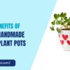 5 Benefits of Using Ceramic Plant Pots