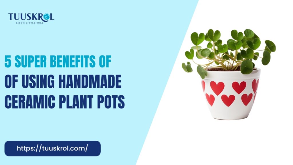 5 Benefits of Using Ceramic Plant Pots