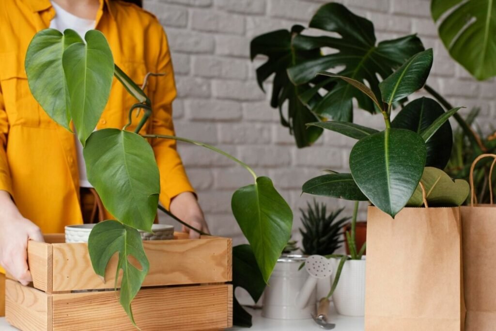 Best Sustainable Products