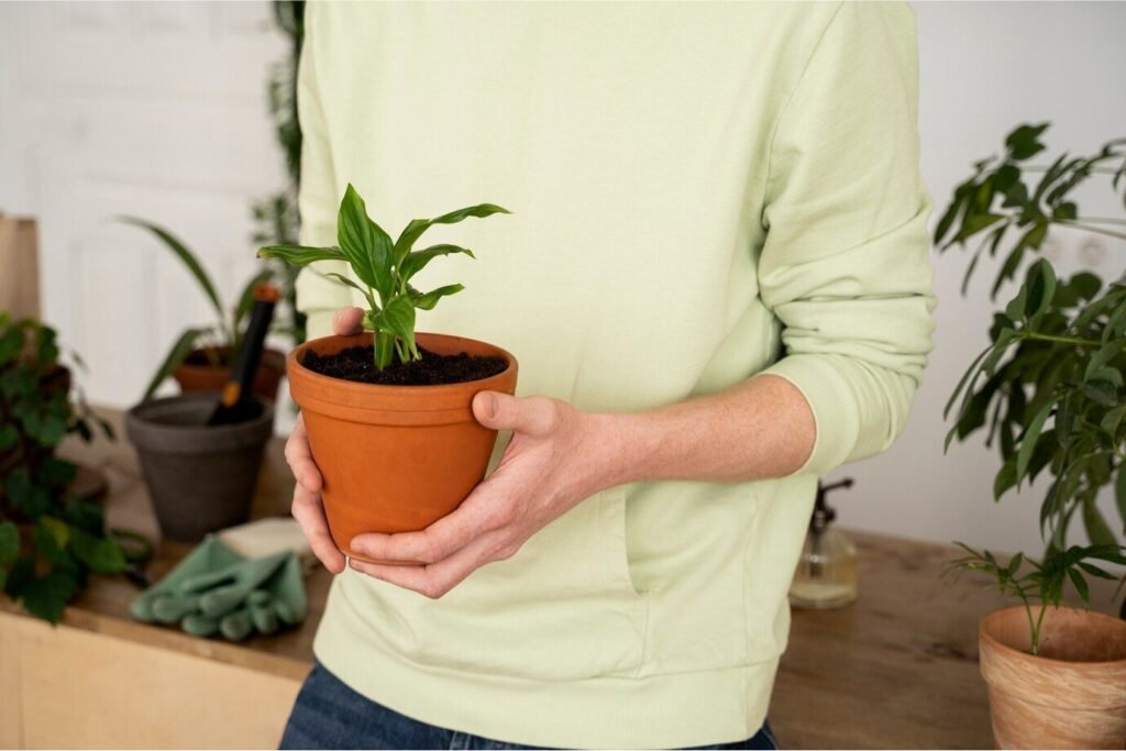Handmade Ceramic Pot 1