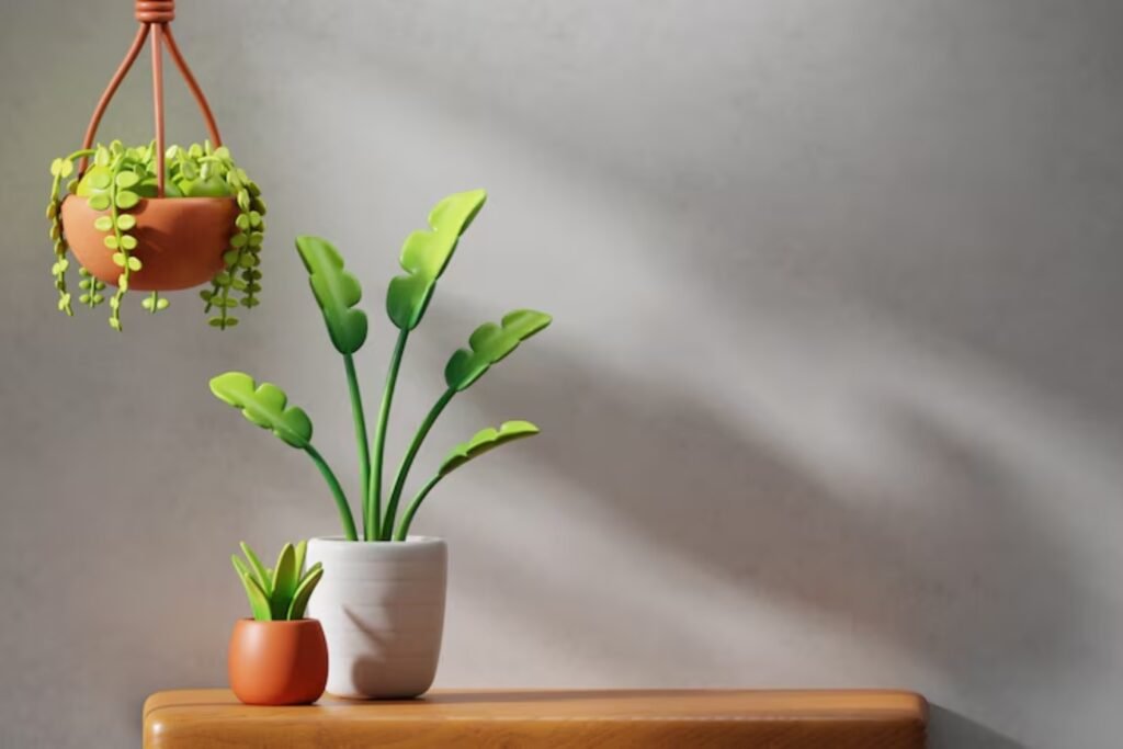 Handmade Plant Pots