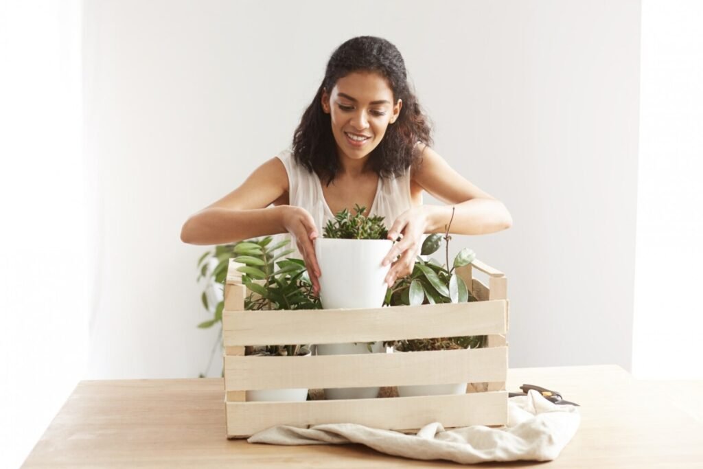 Premium Eco-Friendly Products